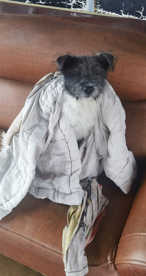 微信圖片_20240125084717.jpg 微信圖片_20240125084717.jpg